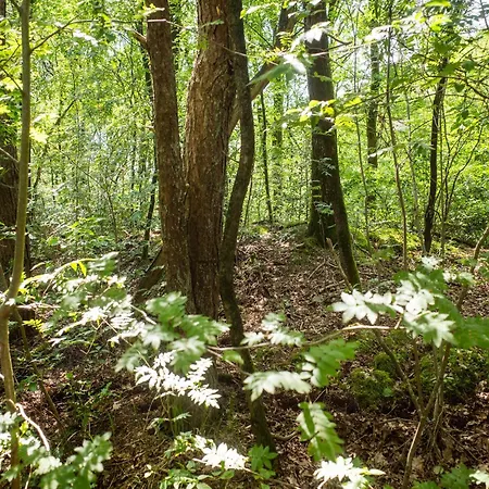 Дом отдыха In Near Veluwe Forest, Cleaning Included *